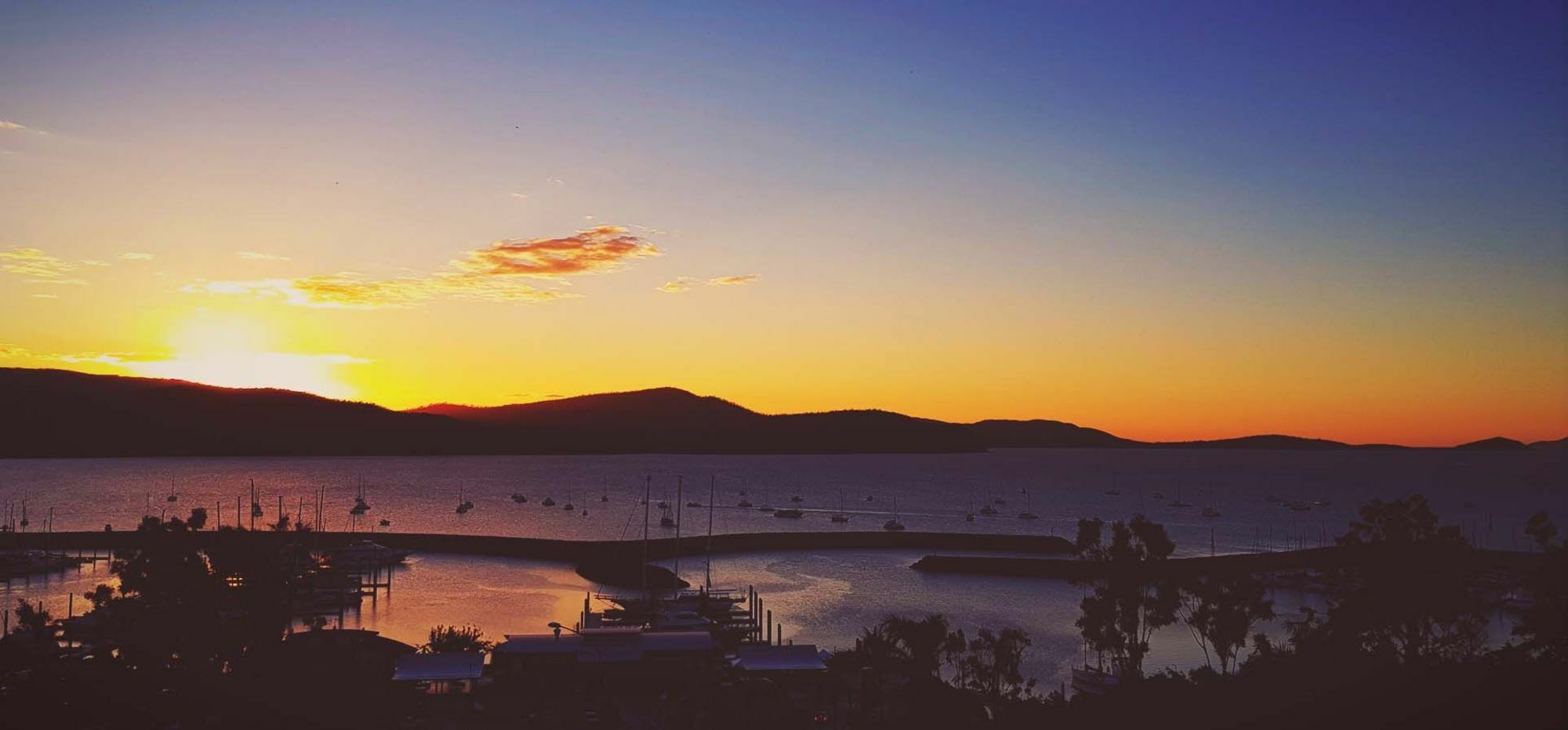 Sunlit Waters Studio Apartments Airlie Beach Bagian luar foto